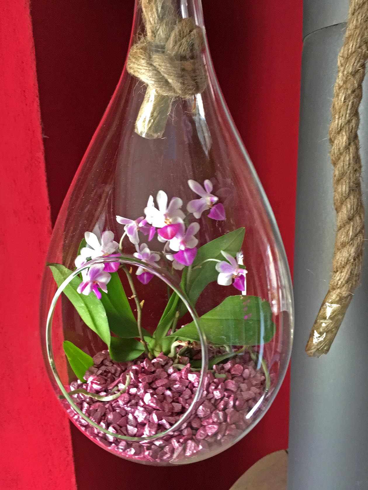 Colomi Orchideengranulat Gestaltungsidee
