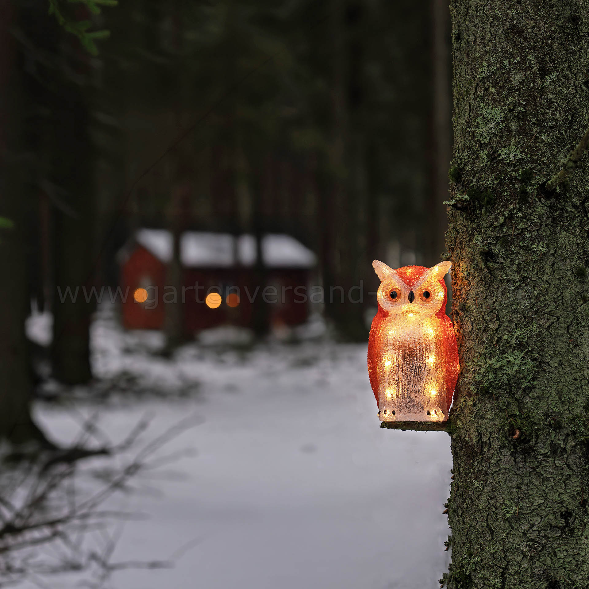 Batteriebetriebene LED Acryl Eule für Außen und Innen - Weihnachtsdeko Eule beleuchtet