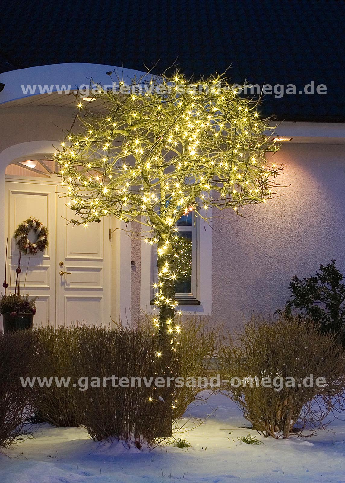 Anwendungsbeispiel Mikro LED-Lichterkette mit 300 LEDs