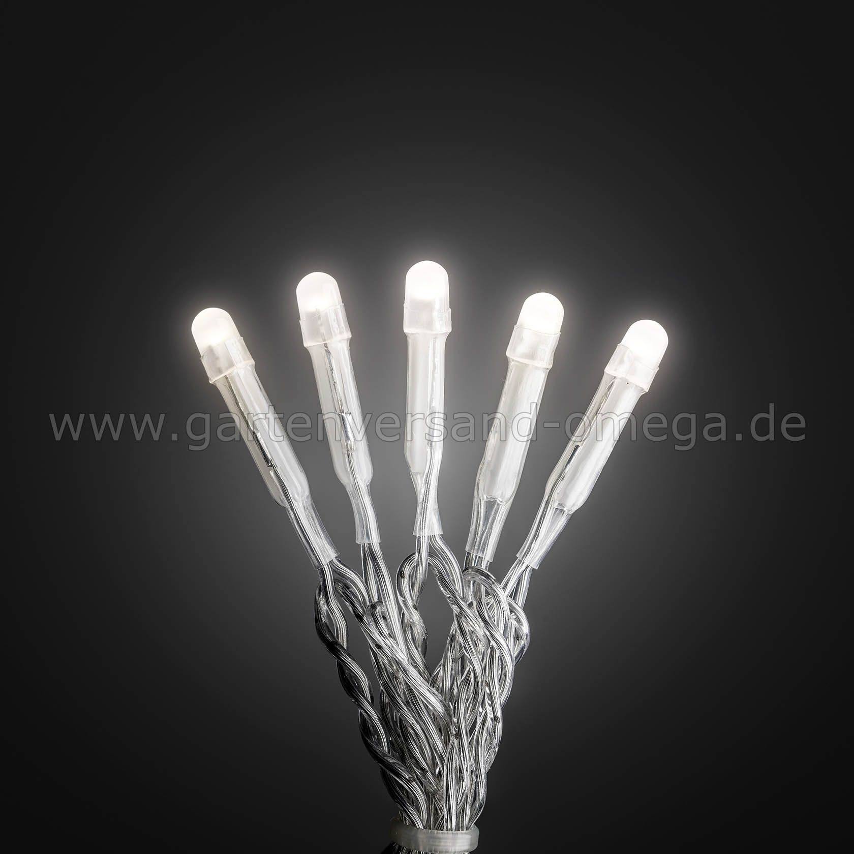 Micro-LED Lichterkette gefrostet Warm-Weiß - transparentes Kabel