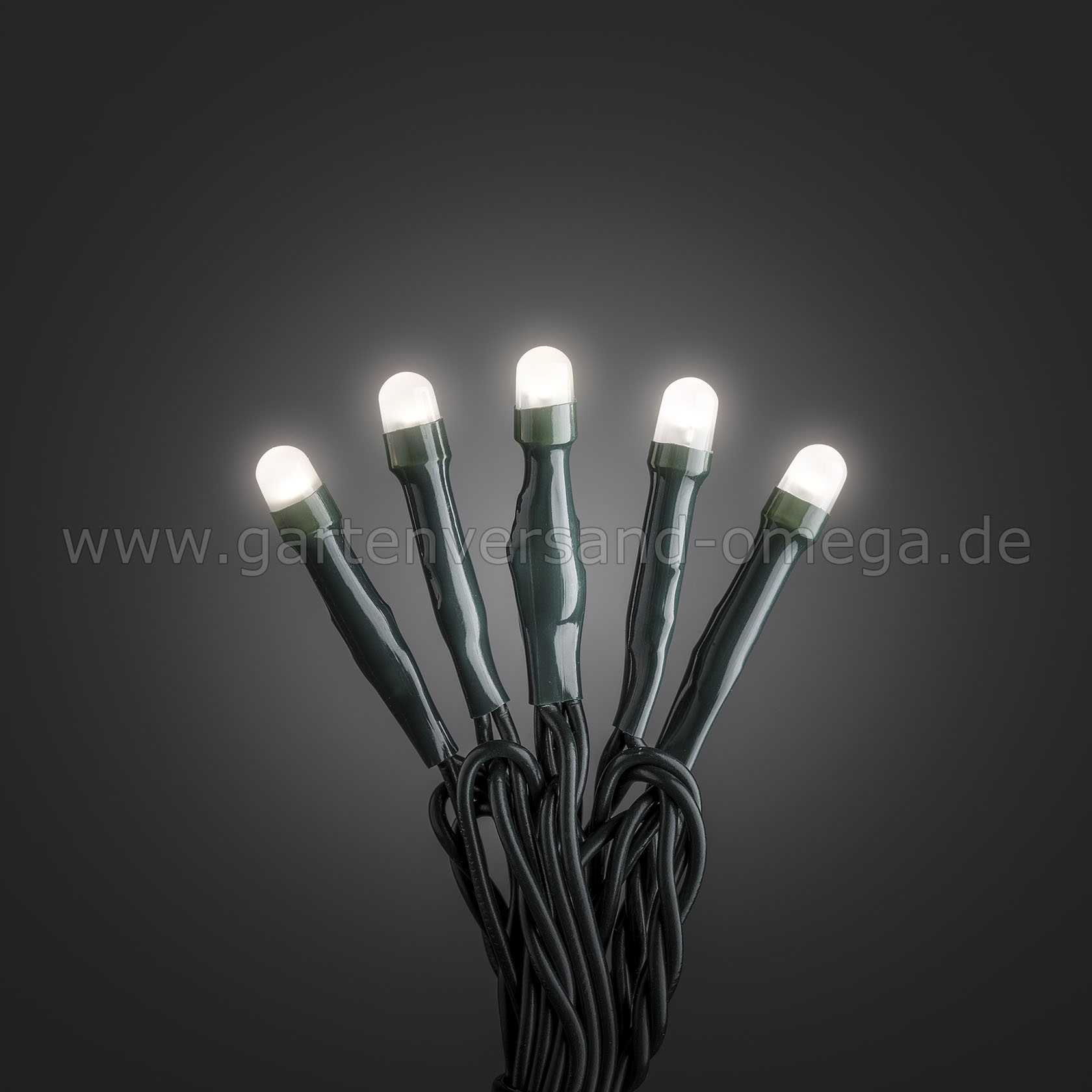 Lichterketten für Innen