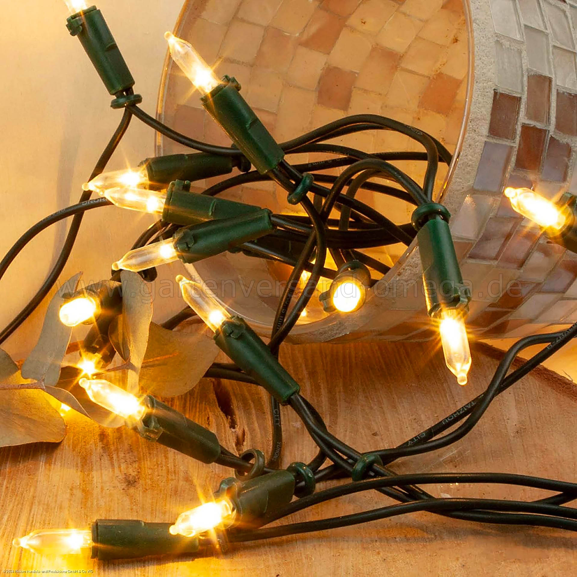 LED Mini-Lichterkette für Innen 100-flammig